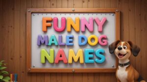 funny male dog names​