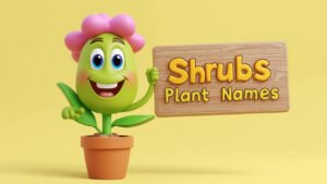 shrubs plant names