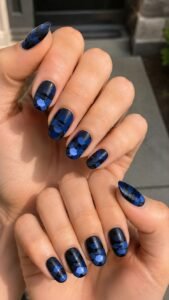 Layer Scales From Cuticle to Tip