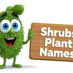 shrubs plant names